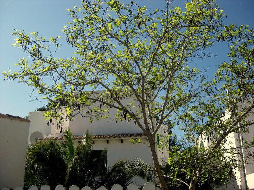 Casa Ceiba Maria Hotel Cala d'Or  Bagian luar foto